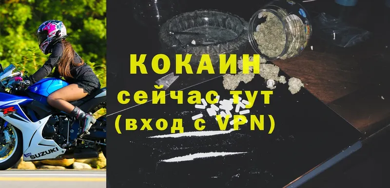 shop формула  блэк спрут ССЫЛКА  Коряжма  Cocaine Fish Scale 